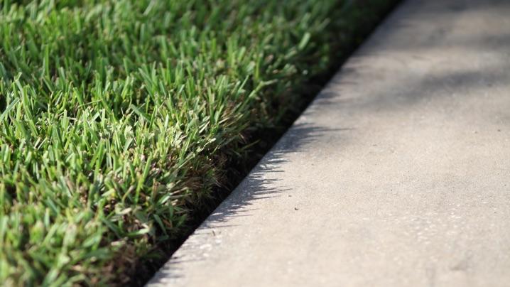 Strimming and Edging